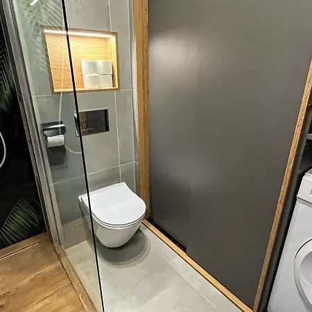 公寓 Old Town „jungle Cat” 卢布林